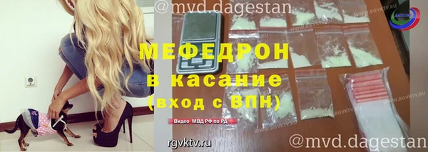 индика Белокуриха