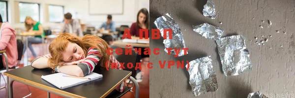 индика Белокуриха