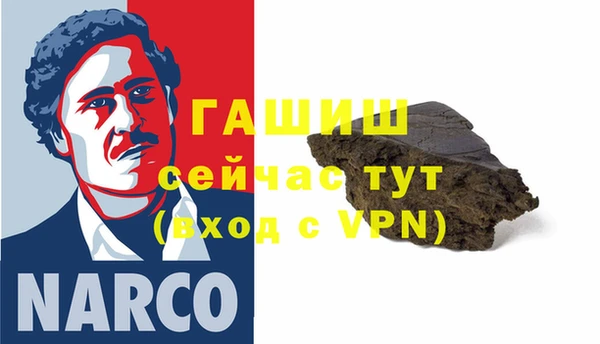 индика Белокуриха