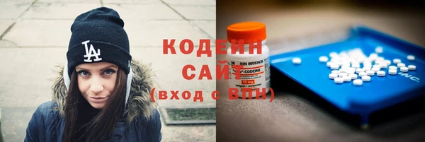 индика Белокуриха