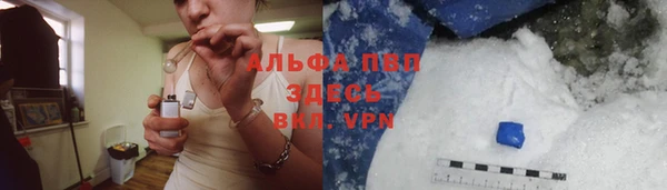 индика Белокуриха