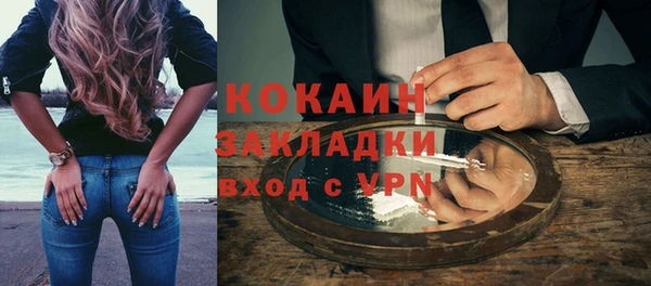 индика Белокуриха