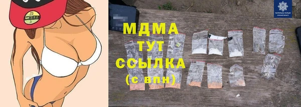 индика Белокуриха