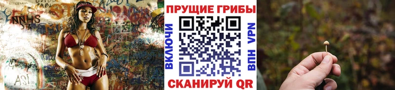 Псилоцибиновые грибы ЛСД  где купить   МЕГА ссылка  Динская 
